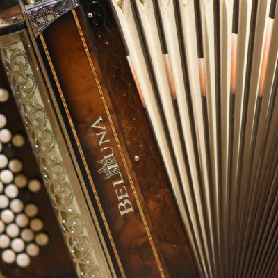 Diatonična Diatonic accordion close up